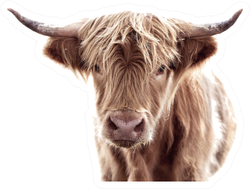Highland Cow Brown Sticker