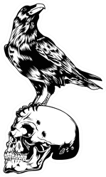 horror Skull Crow Black Illustration Sticker