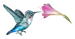 Hummingbird (mellisuga Helenae) With Flower Realistic Drawing Sticker