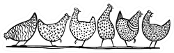 Illustration Of Hand Drawn Chickens In A Line Sticker
