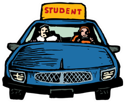 Illustration Of Teen Girl Student Driver Sticker