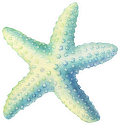 Illustrations Of Underwater Life Objects - Blue Starfish Sticker