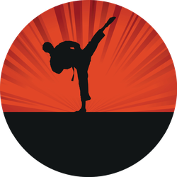 Karate Silhouette Vibrant Background Sticker