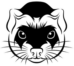 Line Ferret Head Sticker