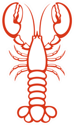 Lobster Outline Sticker