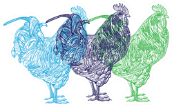 Mandala Chickens Colorful Set Sticker