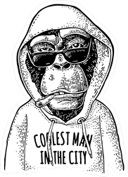 Monkey In The Hoodie Sticker