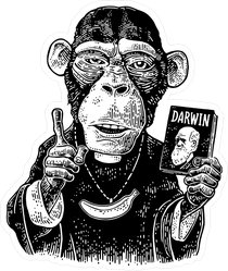 Monkey Priest With Banana Chain Sticker