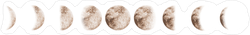 Moon Phases Sticker