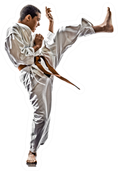 One Karate Training Sticker