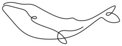 One Line Whale Sticker