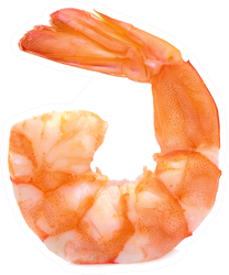 One Shrimp Isolated Sticker
