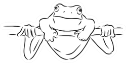 Outline Drawing Of A Frog Sketch Illustration Sticker