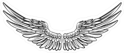 Pair Of Spread Out Angel Wings