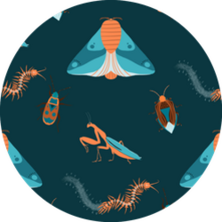 Pattern With Insects And Praying Mantis Sticker