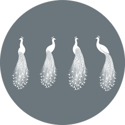 Peacock White Illustrations On Grey Sticker