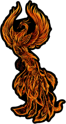 Phoenix Fire Bird Illustration On Black Sticker