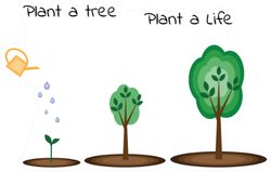 Plant A Tree Plant A Life Sticker
