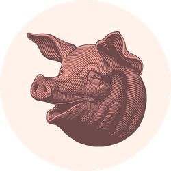 Pork Head. Hand Drawn Engraving Sticker