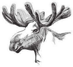 Portrait Of A Big Moose With Antlers Sticker