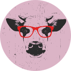 Portrait Of Cow With Glasses On Pink Sticker