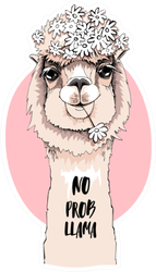 Portrait Of Llama With A Chamomile Flowers Sticker