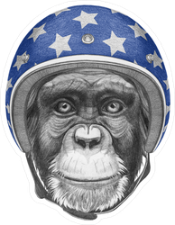 Portrait Of Monkey With Helmet Sticker