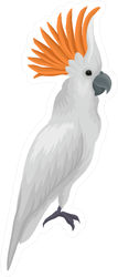 Portrait Of Sulphur-crested Cockatoo Exotic Sticker