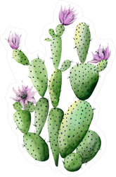 Purple Flowering Cactus Sticker
