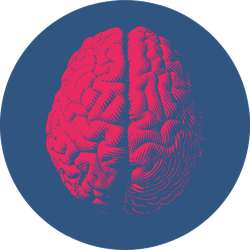 Red Engraving Brain Illustration In Top View Sticker