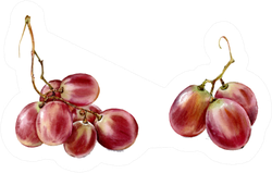 Red Grapes Sticker