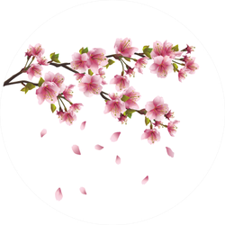 Sakura Blossom Pink Japanese Cherry Tree Sticker