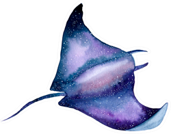 Sea Stingray Watercolor Painting Sticker