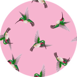 Seamless Pattern With Hummingbirds Trendy Pink Sticker