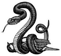 Serpent Cobra And Python, Anaconda Or Viper, Royal Sticker