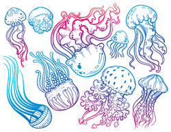 Set Jellyfish Cartoon Lines Art Colorful Sticker