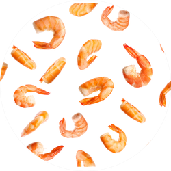 Set Of Delicious Freshly Cooked Shrimps Sticker