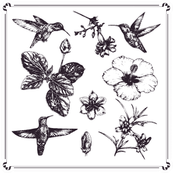 Set Of Ink-pen Hand-drawn Illustration Hummingbirds Sticker