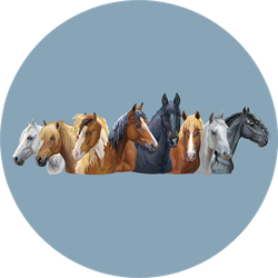 Set Of Portraits Of Different Horses Breeds On Blue Sticker