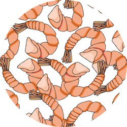 Shrimp Endless Pattern Sticker