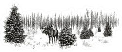 Siberian Moose In Winter Forest Sticker