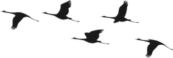 Silhouette Of Flying Flock Of Cranes Sticker