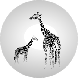 Silhouette Of Giraffe With Her Baby Sticker