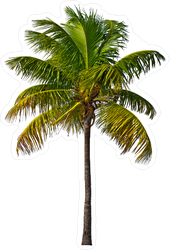 Single Palm Blowing In The Wind Sticker