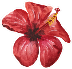Single Watercolor Red Hibiscus Sticker