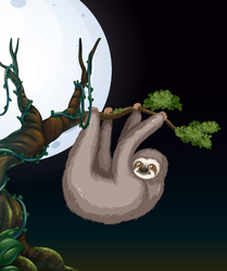 Sloth on Tree Branch at Night Sticker