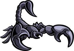 Hundreds of New Car Stickers and Decal Designs
