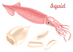 Squid Fresh Seafood, Raw Squid Fillet Ready For Cooking Sticker