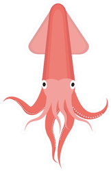 Squid Icon Logo Sticker