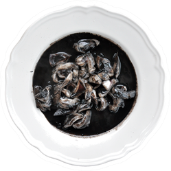 Squid In Black Ink Sauce Sticker